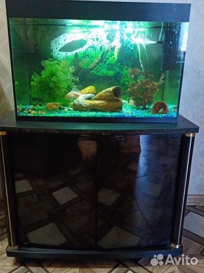 Аквариум с тумбой и рыбками