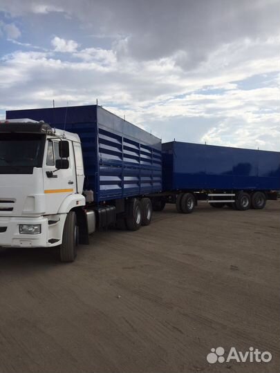 КамАЗ 65115, 2019