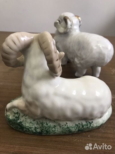 Козел и баран