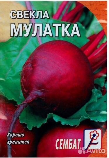 Продаю семена