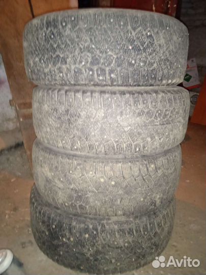Gislaved Soft Frost 2 205/55 R16