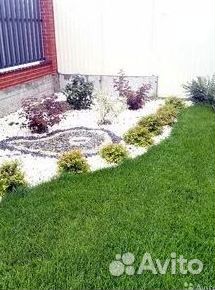 Газон от производителя