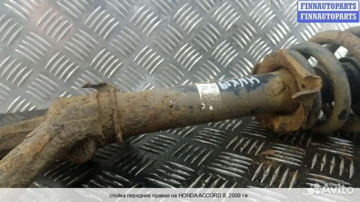 Амортизатор перед/право Honda Accord viii (CU), 2009 2.2 Дизель