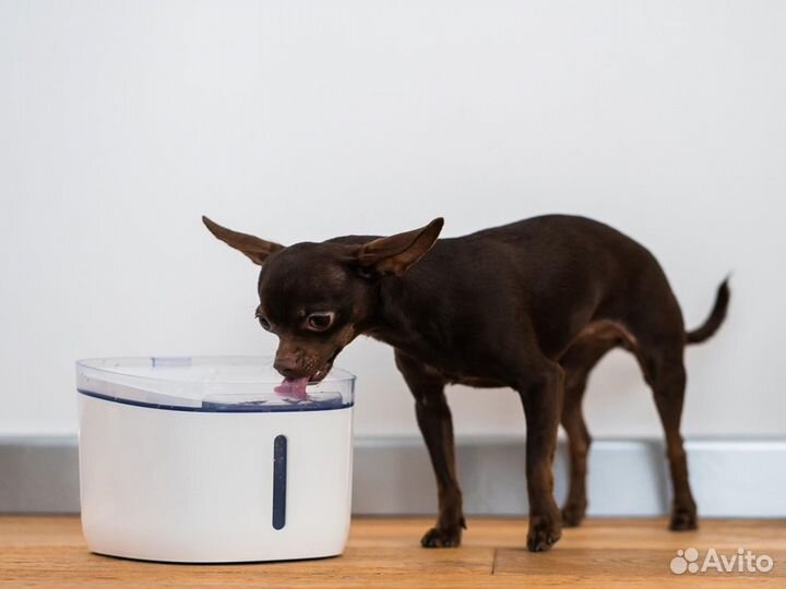 Умная поилка Xiaomi Petoneer Mini Plus Новые