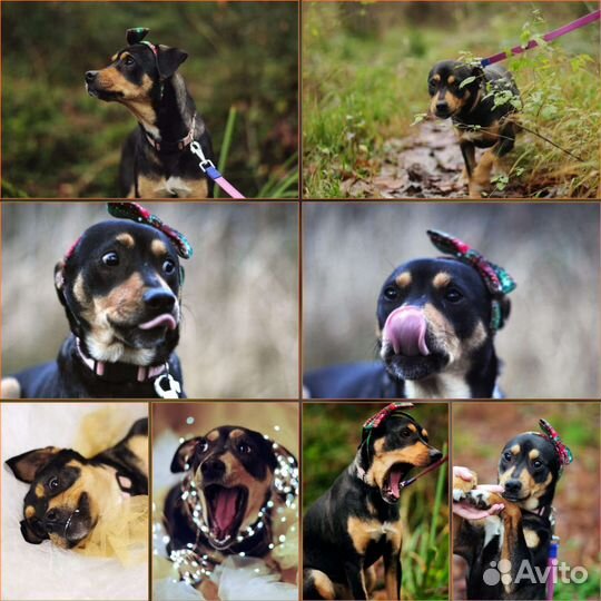 Уникальная девочка ищет семью