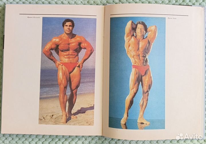 Книга Энциклопедия современного бодибилдинга