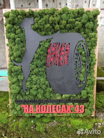 Картина со стабилизированным мхом