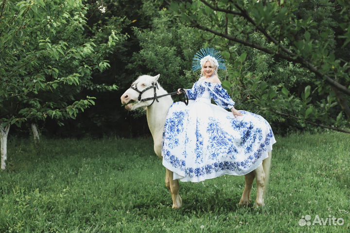 Аренда коня для фотосессии