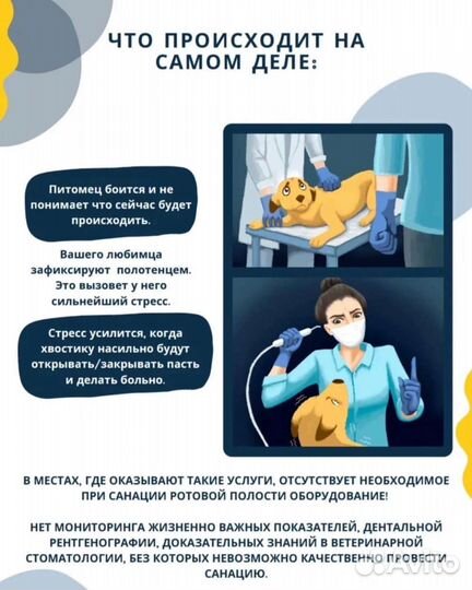 Читка зубов ультразвуком у собак и кошек