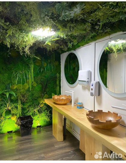 Стабилизированный мох. Озеленение интерьера