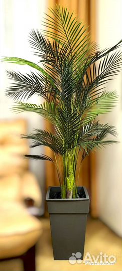 Искусственная Пальма