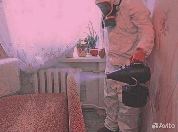 Обработка от насекомых, крыс, клопов