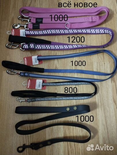 Ошейник, шлейка, поводок