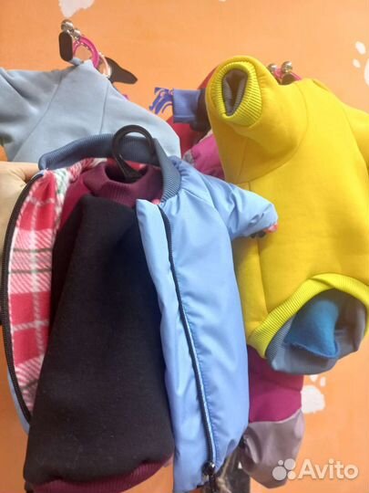 Одежда для собак