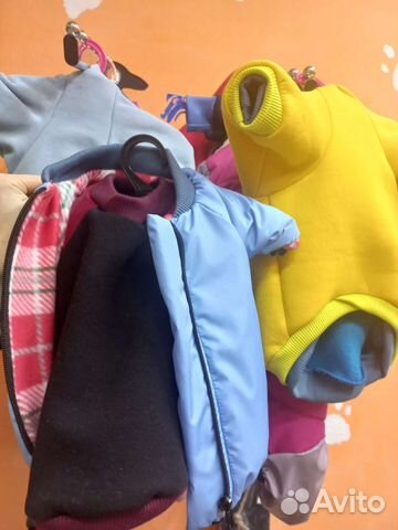 Одежда для собак