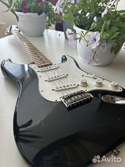 Fender stratocaster japan