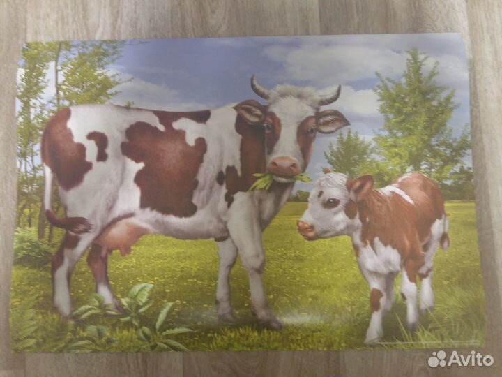 Наглядные пособия для дет. сада или школы. Набор