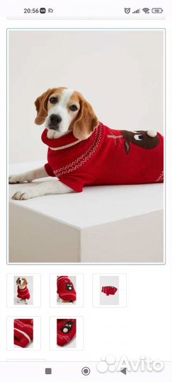 Свитер для собаки H&M