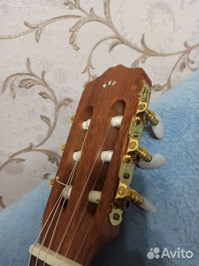 Классическая гитара cordoba protege C1M