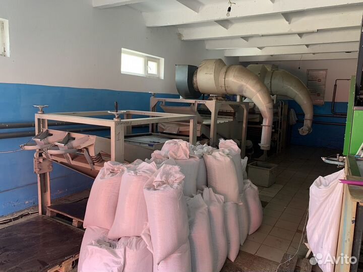 Оборудование Ядро подсолнечника