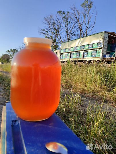 Мёд Расторопша+ Акация