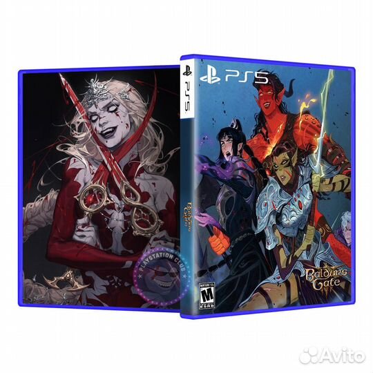 Baldur's Gate 3 №4 (PS5)