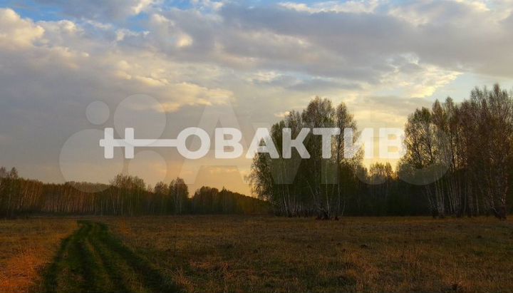 Участок 1,03 га (СНТ, ДНП)