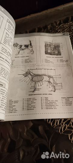 Биология удобно и понятно