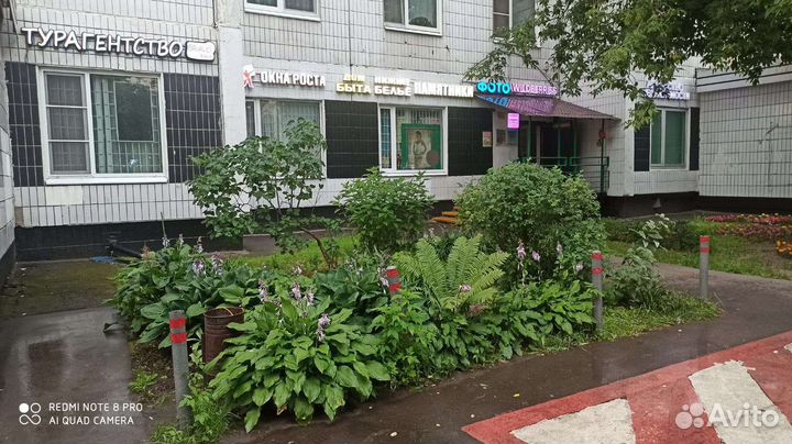 Детский логопед