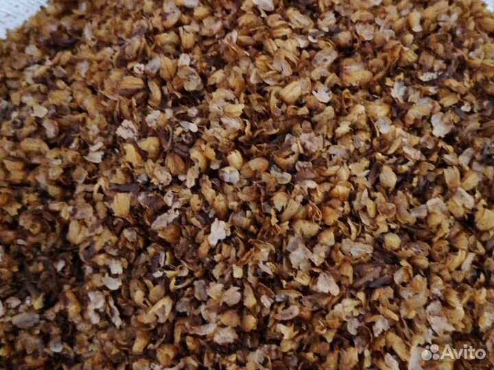 Плёнка кедрового ядра