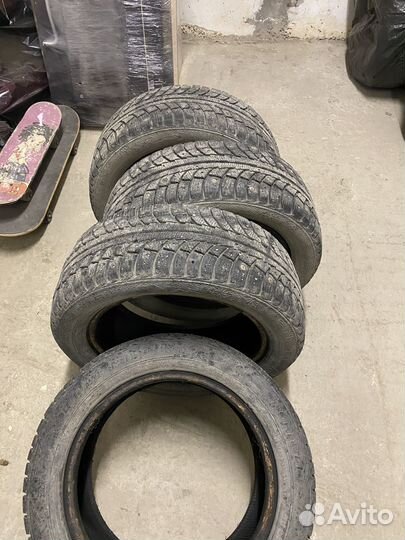 Gislaved Nord Frost 5 195/55 R15