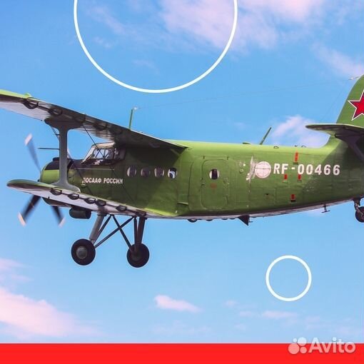 Полет на самолете — прогулочный / пилотаж