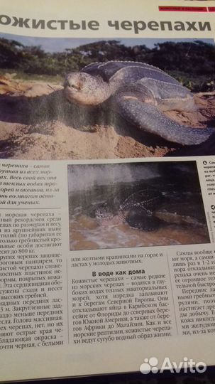 Энциклопедия