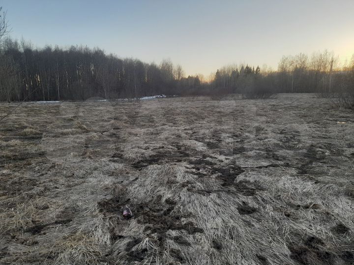 Участок 15 сот. (ИЖС)