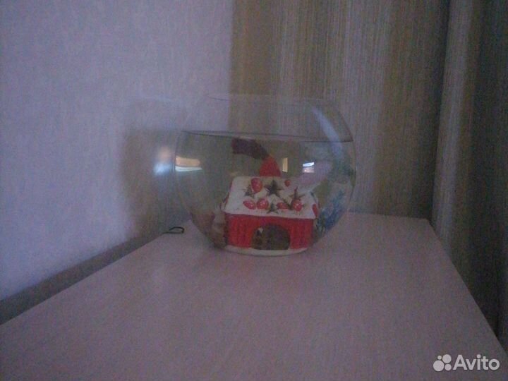 Петушки самец самка и 2 штуки других рыбок