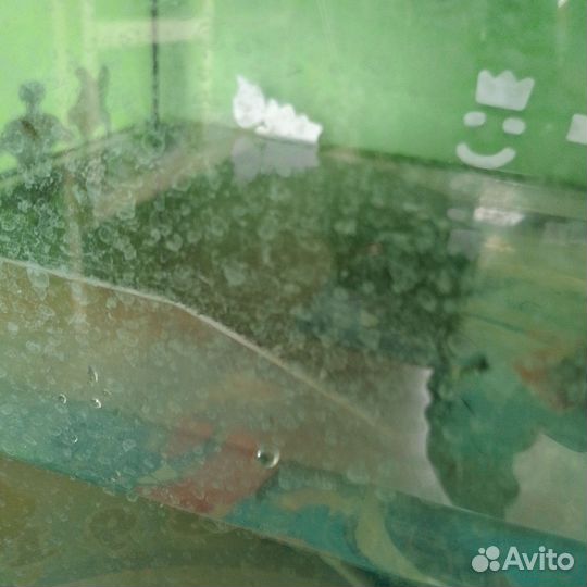 Черепаха мостик аквариум три в одном