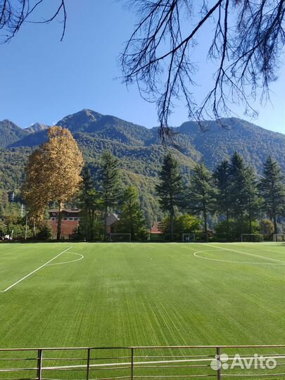 Доверительное управление или субаренда