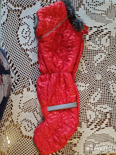 Зимний комбинезон для таксы (девочка)