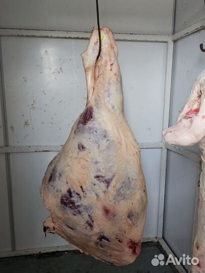 Мясо говядина