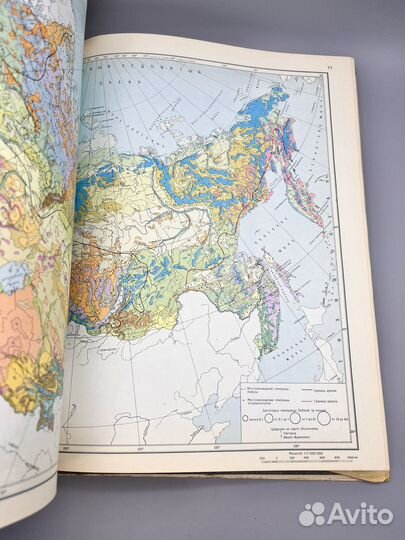 Атлас лекарственных растений СССР 1980г