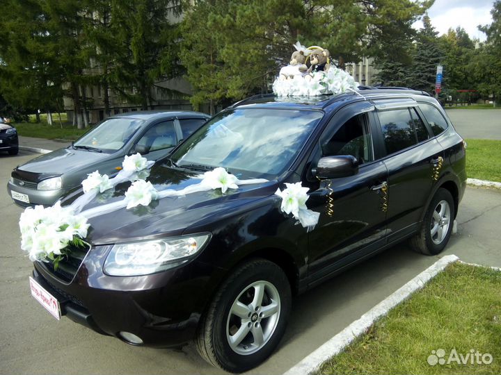 Катаем свадьбу