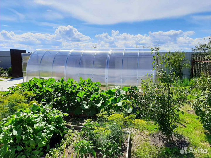 Теплица 40х20 оцинкованная