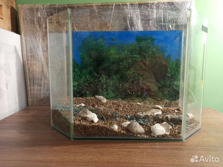 Аквариум
