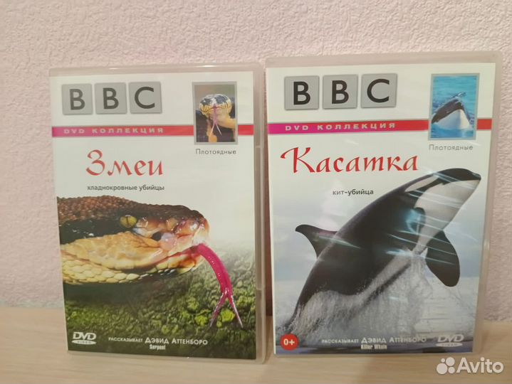 Диски BBC о природе