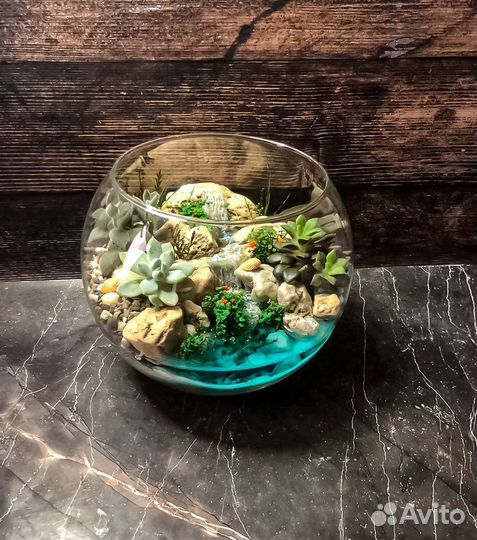 Флорариум. Подарок