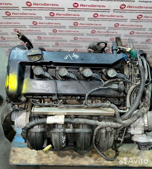 Контрактный двигатель Ford 2.0 aoda
