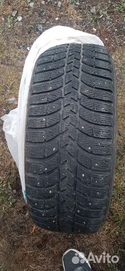 Lassa Iceways 205/55 R16