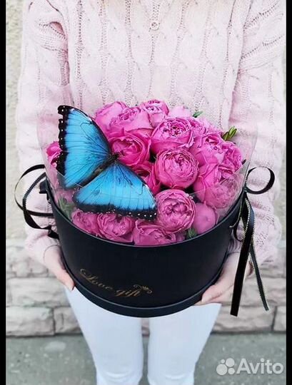 Живые бабочки с цветами