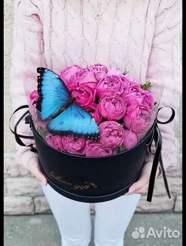 Живые бабочки с цветами