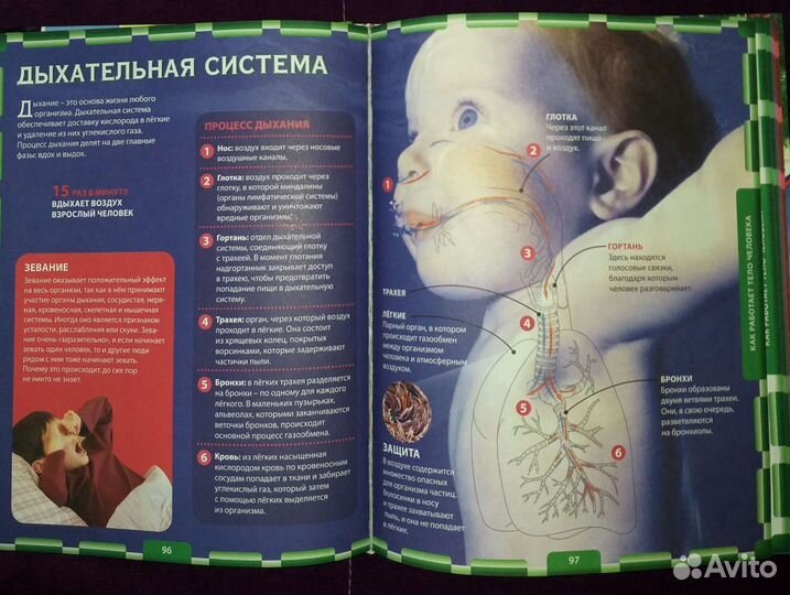 Детская энциклопедия